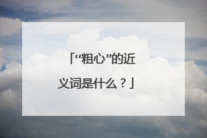 “粗心”的近义词是什么?