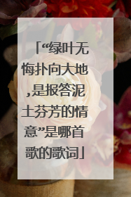 “绿叶无悔扑向大地,是报答泥土芬芳的情意”是哪首歌的歌词