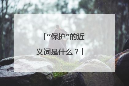“保护”的近义词是什么?