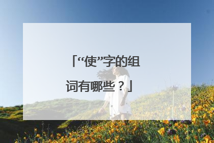 “使”字的组词有哪些?