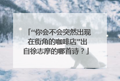 “你会不会突然出现 在街角的咖啡店”出自徐志摩的哪首诗？