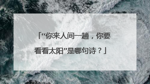 “你来人间一趟，你要看看太阳”是哪句诗？