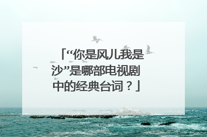 “你是风儿我是沙”是哪部电视剧中的经典台词？
