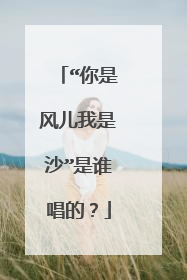 “你是风儿我是沙”是谁唱的？
