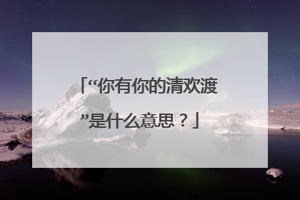 “你有你的清欢渡”是什么意思？