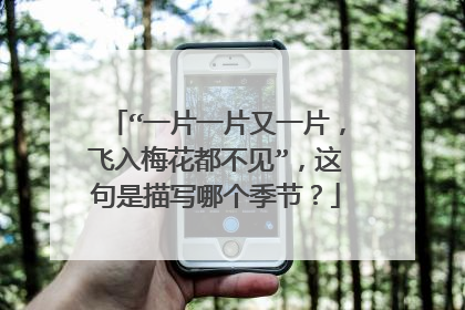 “一片一片又一片，飞入梅花都不见”，这句是描写哪个季节？