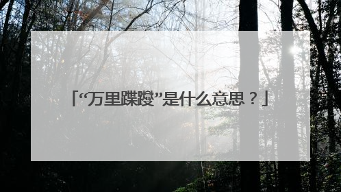“万里蹀躞”是什么意思?