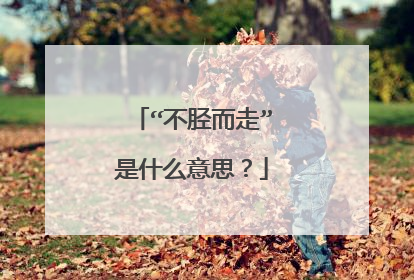“不胫而走”是什么意思？