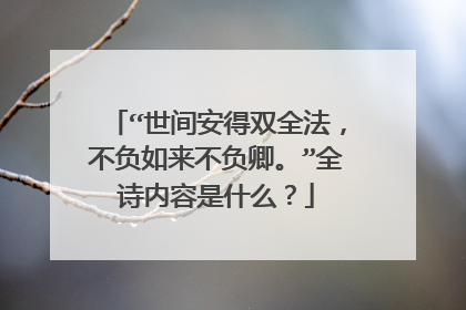 “世间安得双全法，不负如来不负卿。”全诗内容是什么？