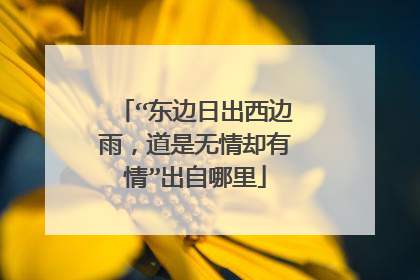 “东边日出西边雨，道是无情却有情”出自哪里