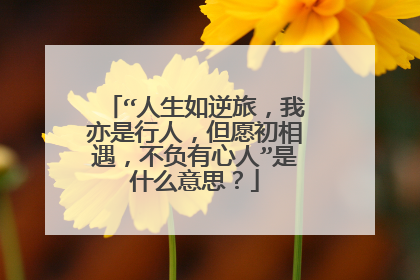 “人生如逆旅,我亦是行人,但愿初相遇,不负有心人”是什么意思?