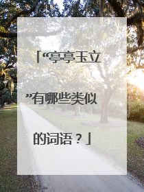 “亭亭玉立”有哪些类似的词语?