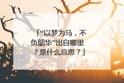 “以梦为马,不负韶华”出自哪里?是什么意思?