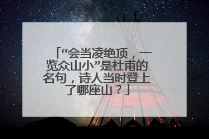 “会当凌绝顶，一览众山小”是杜甫的名句，诗人当时登上了哪座山？