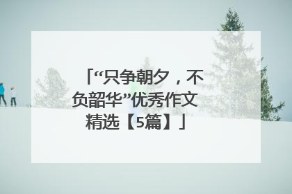 “只争朝夕,不负韶华”优秀作文精选【5篇】
