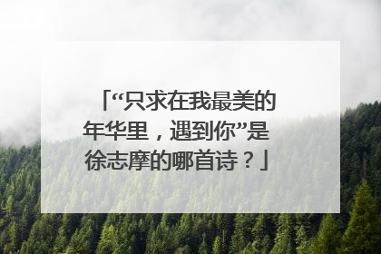 “只求在我最美的年华里,遇到你”是徐志摩的哪首诗?