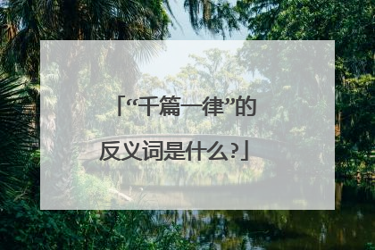 “千篇一律”的反义词是什么?