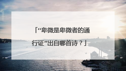 “卑微是卑微者的通行证”出自哪首诗？
