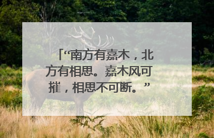 “南方有嘉木,北方有相思。嘉木风可摧,相思不可断。”出自哪首诗?