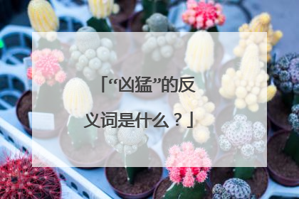 “凶猛”的反义词是什么？