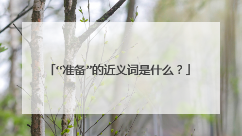 “准备”的近义词是什么？