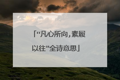 “凡心所向,素履以往”全诗意思