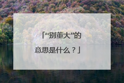 “别董大”的意思是什么?