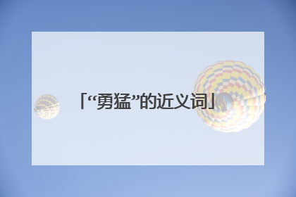 “勇猛”的近义词