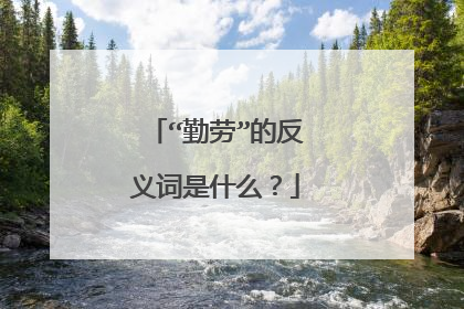 “勤劳”的反义词是什么?