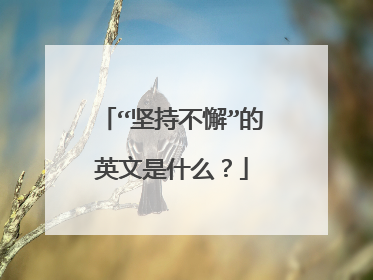 “坚持不懈”的英文是什么？
