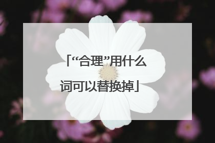 “合理”用什么词可以替换掉