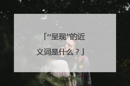 “呈现”的近义词是什么？