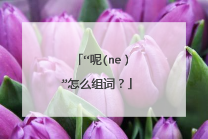 “呢(ne)”怎么组词?