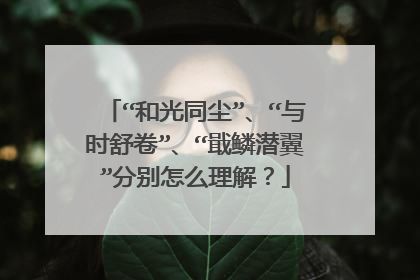 “和光同尘”、“与时舒卷”、“戢鳞潜翼”分别怎么理解？