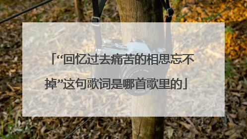 “回忆过去痛苦的相思忘不掉”这句歌词是哪首歌里的