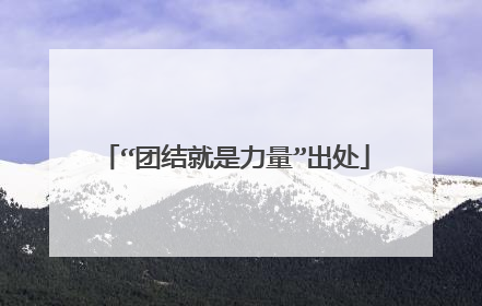 “团结就是力量”出处