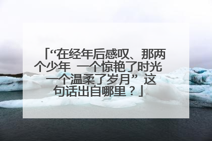 “在经年后感叹、那两个少年 一个惊艳了时光 一个温柔了岁月” 这句话出自哪里？