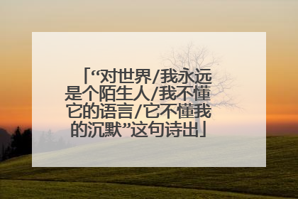 “对世界/我永远是个陌生人/我不懂它的语言/它不懂我的沉默”这句诗出