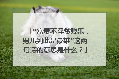 “富贵不淫贫贱乐，男儿到此是豪雄”这两句诗的意思是什么？