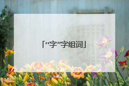 “字”字组词