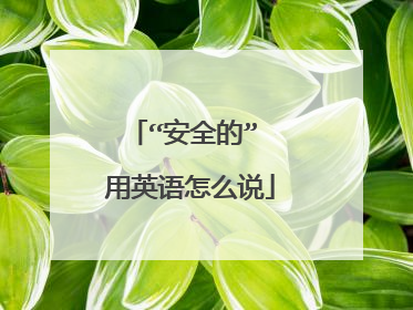 “安全的” 用英语怎么说