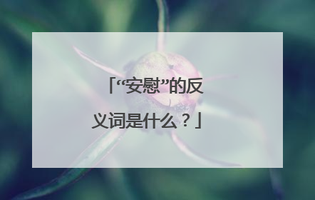 “安慰”的反义词是什么?