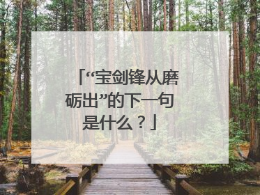 “宝剑锋从磨砺出”的下一句是什么？