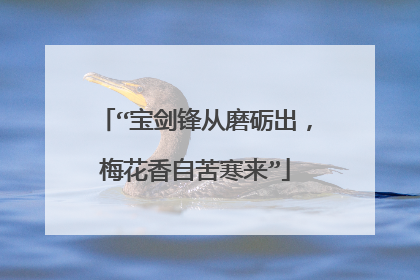 “宝剑锋从磨砺出，梅花香自苦寒来”