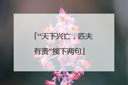 “天下兴亡,匹夫有责”接下两句