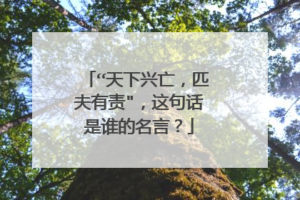 “天下兴亡,匹夫有责