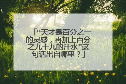 “天才是百分之一的灵感,再加上百分之九十九的汗水”这句话出自哪里?