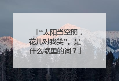 “太阳当空照，花儿对我笑”。是什么歌里的词？