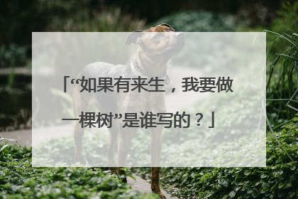 “如果有来生,我要做一棵树”是谁写的?
