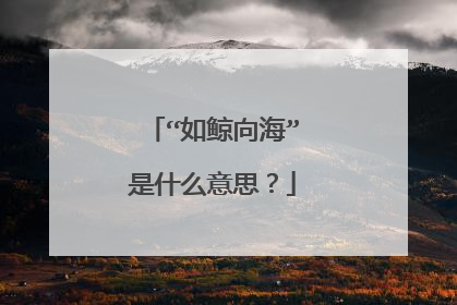“如鲸向海”是什么意思？